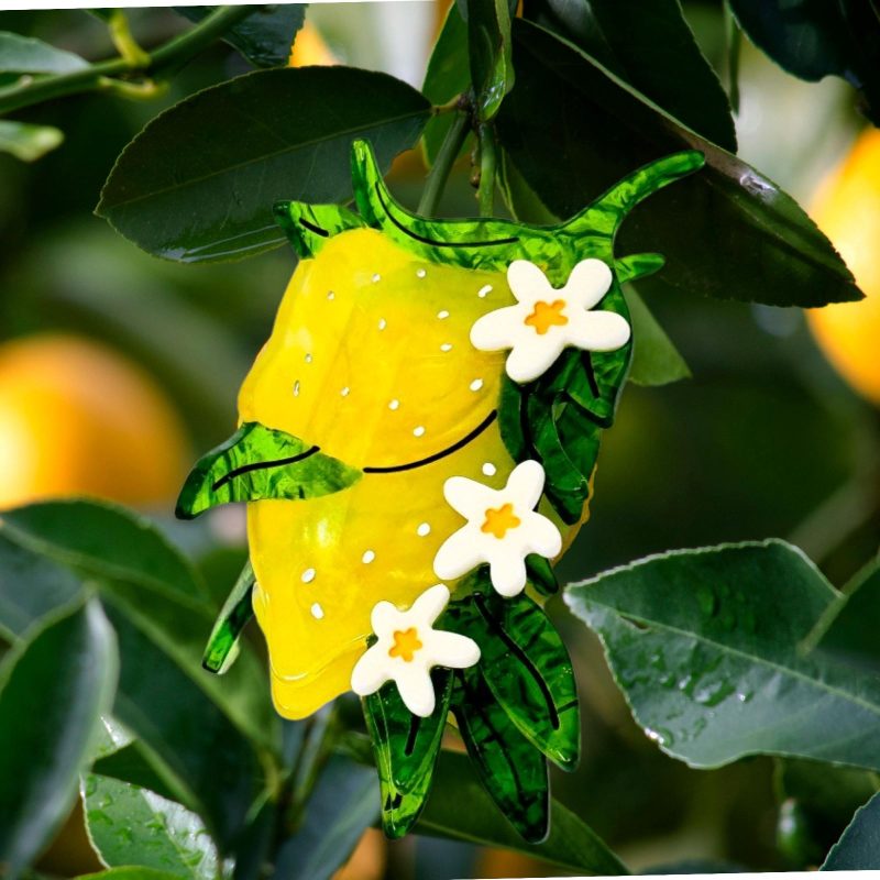 lemon and flowers hair claw accessories jenny lemons 372709